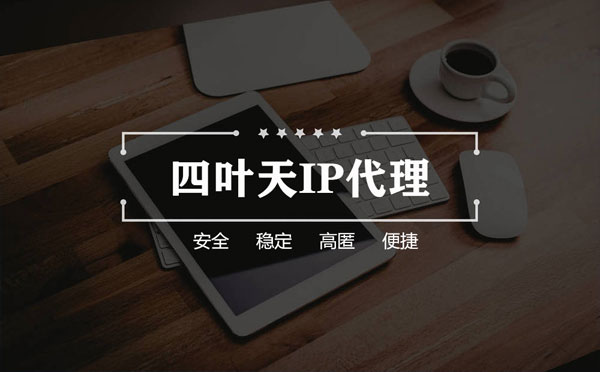 【榆林代理IP】如何快速搭建代理IP？怎么检查代理的效果？